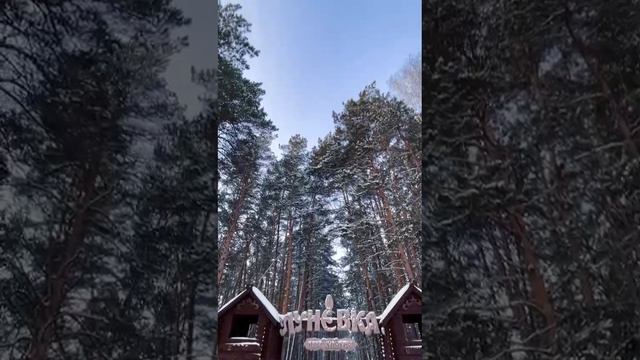 ЗАВОЛОКИНСКИЕ МЕСТА