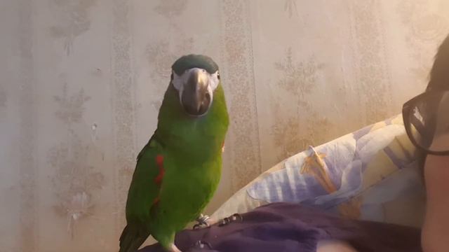 Ты не видишь што ли, што я Анджелина Джоли