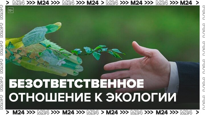Эксперт рассказал как реагировать на безответственное отношение к экологии - Москва 24