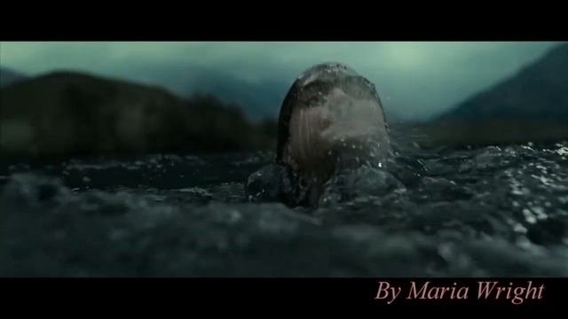 Клип Гарри Поттер -Падали но поднимались