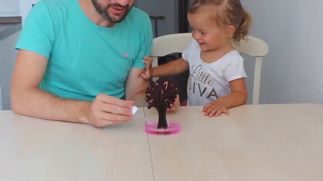 Grow your own cherry blossom | Как вырастить собственную сакуру для ребенка?