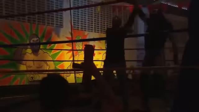 La Viuda Negra II Capitulo 13
