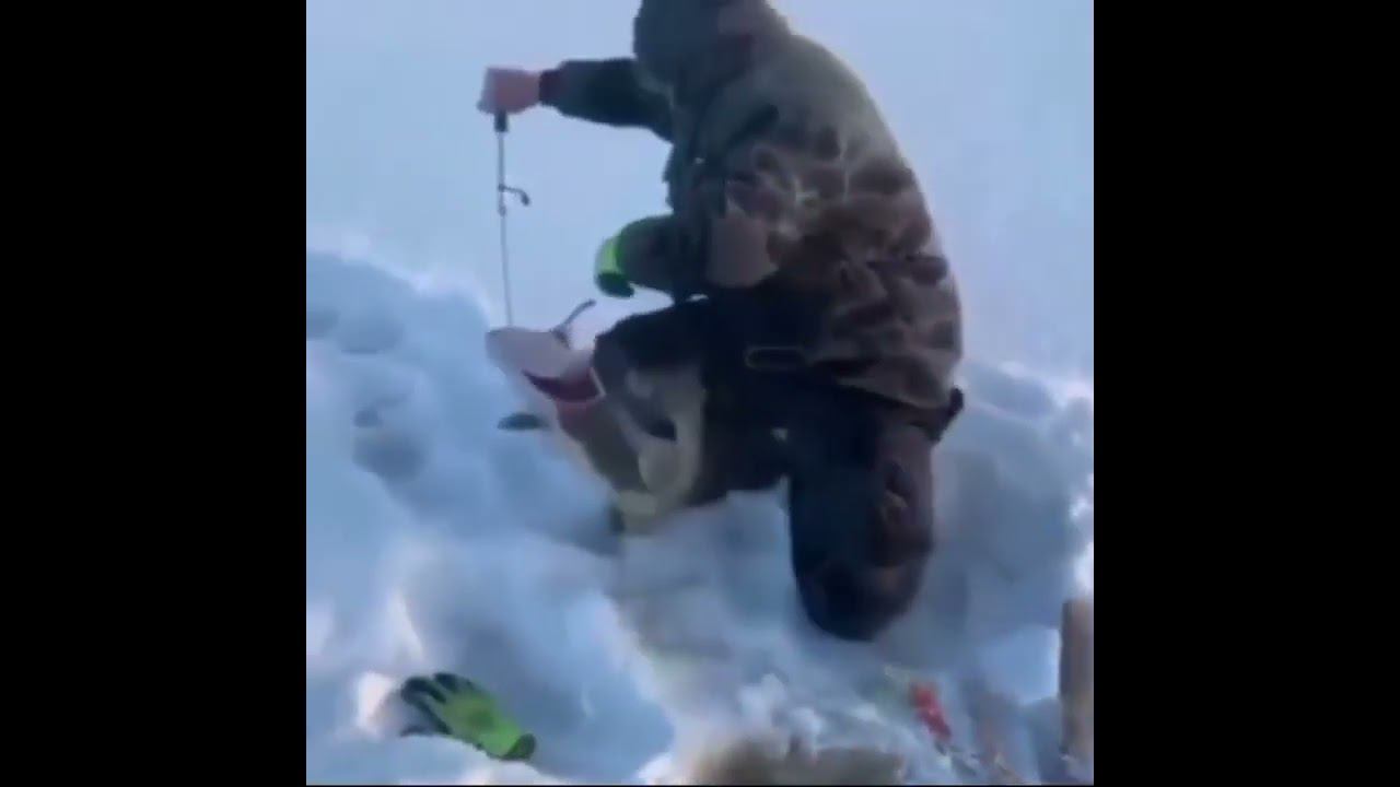 Ну вот, хоть и погода не очень, но улов весьма порадовал. Всем желаю таких трофеев.