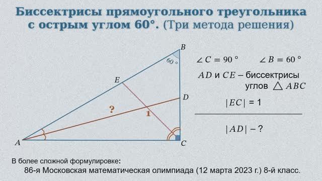 Биссектрисы прямоугольного треугольника с острым углом 60°.
