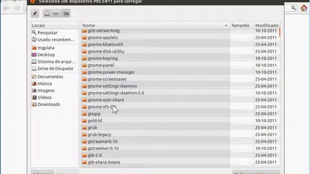 Adicionar Módulo PKCS11 do ePass2000 no Firefox do Linux Ubuntu 11
