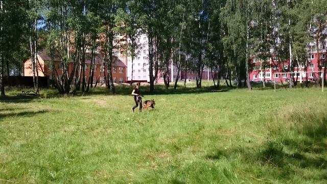 Бенгал.
