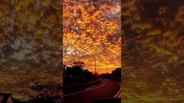 Nature Sunset ??