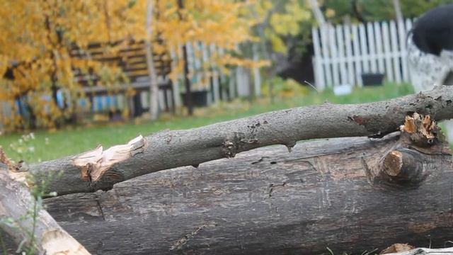 ФИНСКИЙ ТОПОР СВОИМИ РУКАМИ / FINNISH AXE DIY