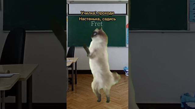 Учитель подрался с собакой😱#котики #мем #рекомендации
