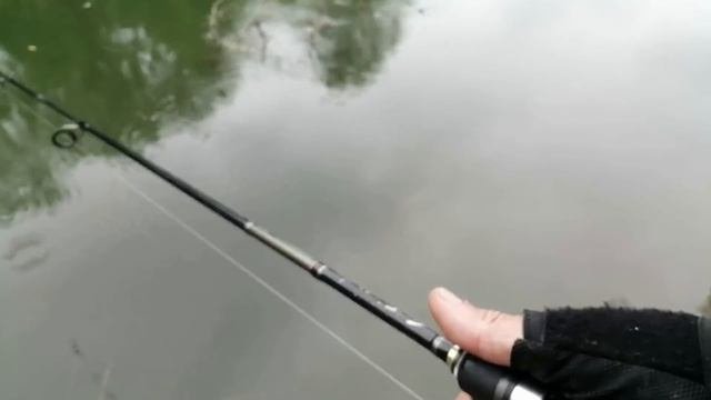 Рыбалка рядом с домом. Ловля симы и горбуши.Сахалинская рыбалка  Sakhalin fishing