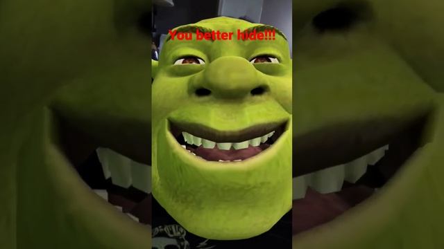 When you get a text notification from Shrek at 3AM