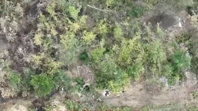 Четыре наших десантника взяли в плен 11 укровояк.