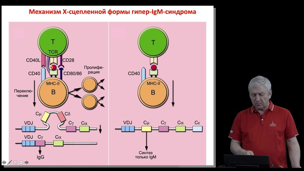 Недоспасов С.А. 10 лекция из цикла для МГУ
