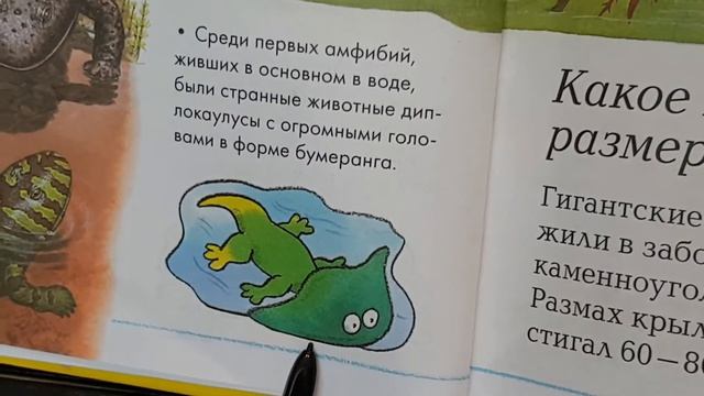 Почему у рыб выросли ноги? Как образовался УГОЛЬ? Какое насекомое размером с птицу?