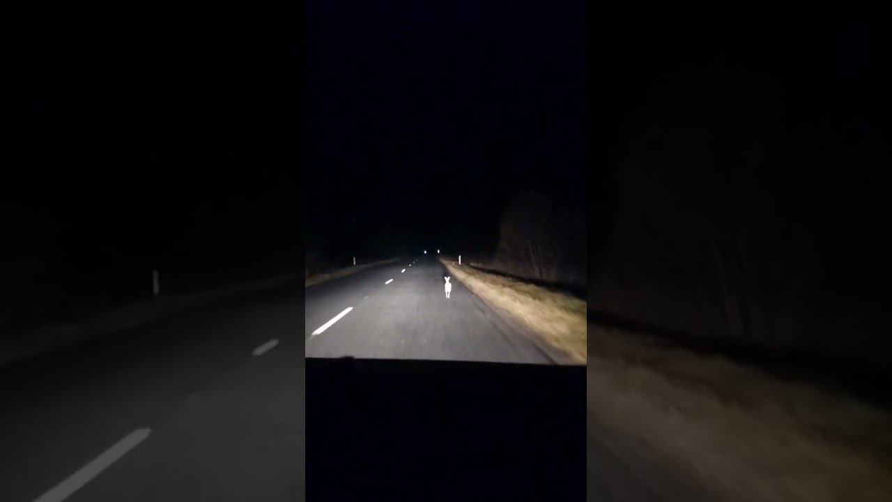 Прижимаемся к обочине останавливаемся!!!