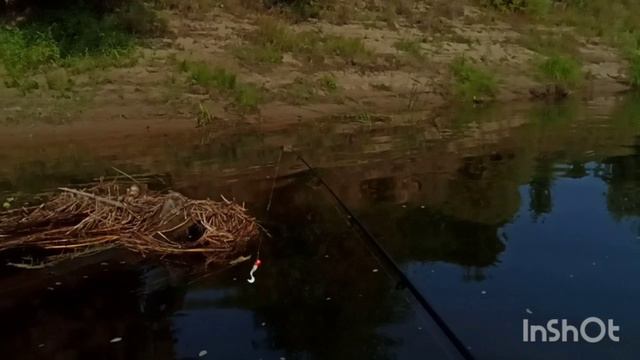 Рыбалка в Удорском районе, часть-2
