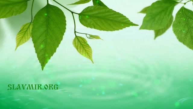 Древние артефакты   каменные диски 6