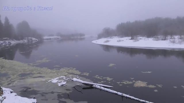 Поход с Айдой.