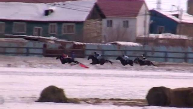 Скаковой сезон-2012. Кубок Ректора ЯГСХА
