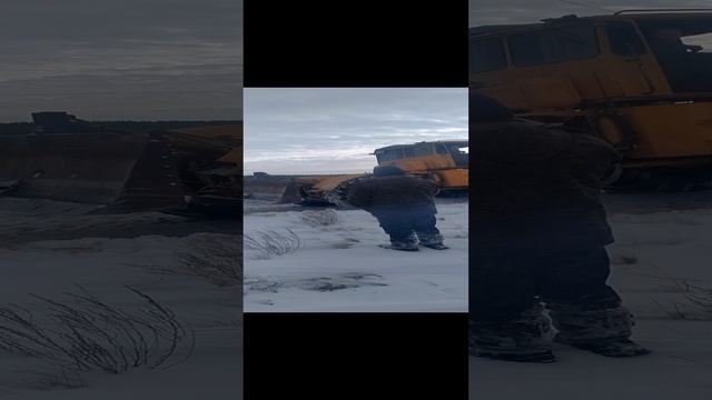 зима в этом году суровая в лесу