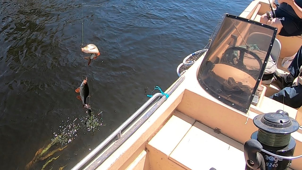 Рыбалка в дельте реки Волга. Астрахань