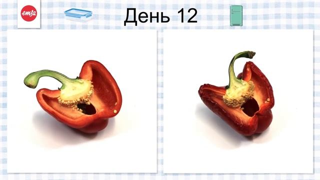 Герметичный контейнер для продуктов CLIP & CLOSE от EMSA   тестирование на перце
