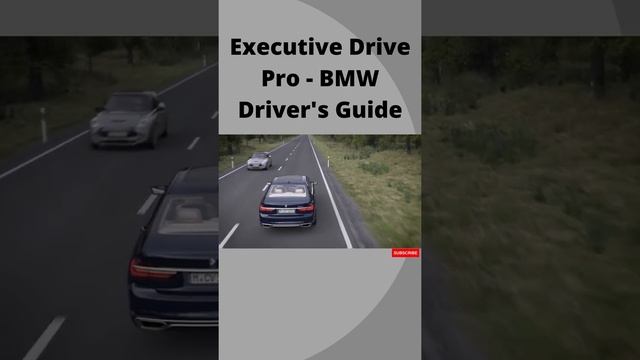 Executive Drive Pro   BMW Drivers Guide