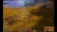 Guild Wars 2 Pets Guardabosques || Moa Rojo Adolescente