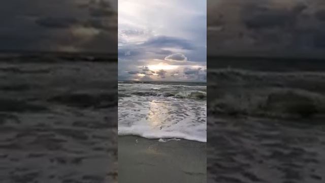 Смотреть видео онлайн