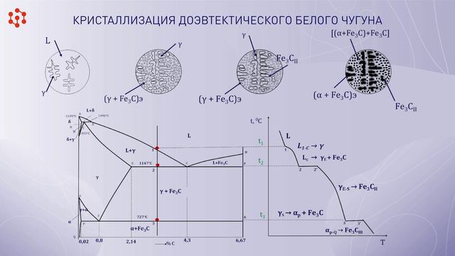 Лек.  22. Микроструктура белых чугунов