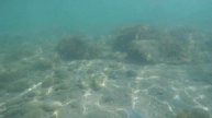 Орджоникидзе, Крым, подводная съемка на GoPro 4
