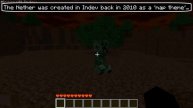 ✔ 10 Things You Didn't Know About the Nether in Minecraft