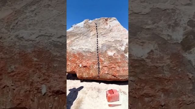 VID-20230825-WA0000.mp4