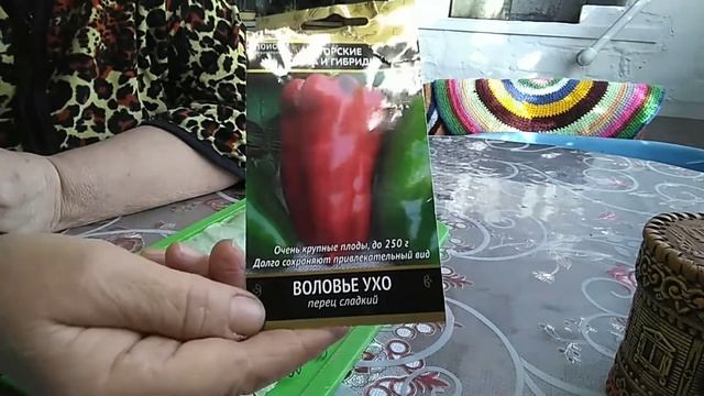 Посадка перца" Воловье ухо" .