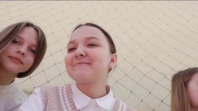 vlog/