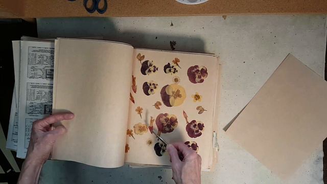 Using Faded Flowers | Ideas | Peeking At Flowers To See How Color Holds Up