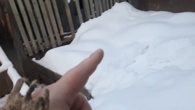Утки во всю несутся, а их яйца лопаются от мороза.