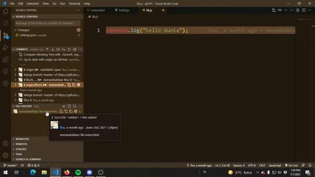Git 03 : Git lens Extension for VS Code