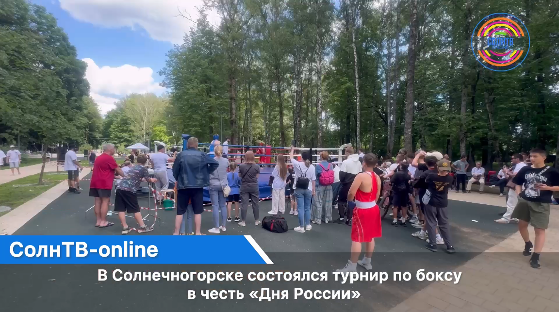 В Солнечногорске состоялся турнир по боксу в честь «Дня России»
