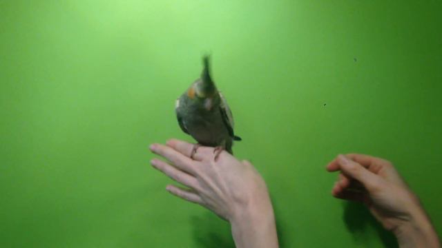 IMG 1389