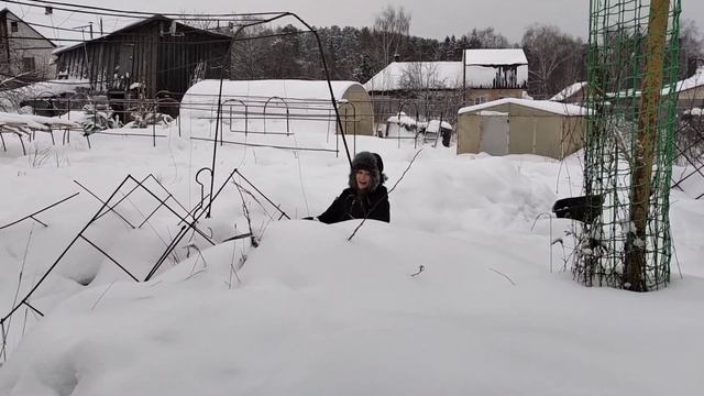 Новогоднее поздравление от Дома у Озера//Непраздничные хлопоты//Год обещает быть...