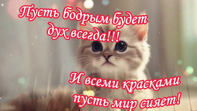 Хорошего дня тебе! Не грусти! Все будет хорошо! Желаю тебе хорошего настроения! Милые котики!