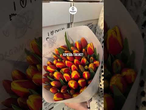 Выгонка 3 млн тюльпанов на гидропонике. #выгонкатюльпанов  #выгонка  #посадочныйматериал