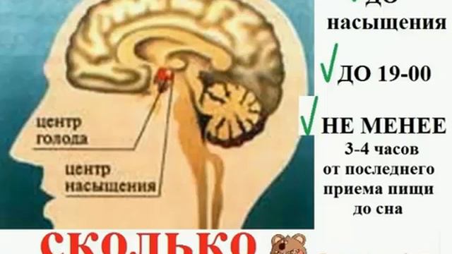 КАК ПОХУДЕТЬ и СОХРАНЯТЬ СТРОЙНОСТЬ вебинар с Анной Лонске