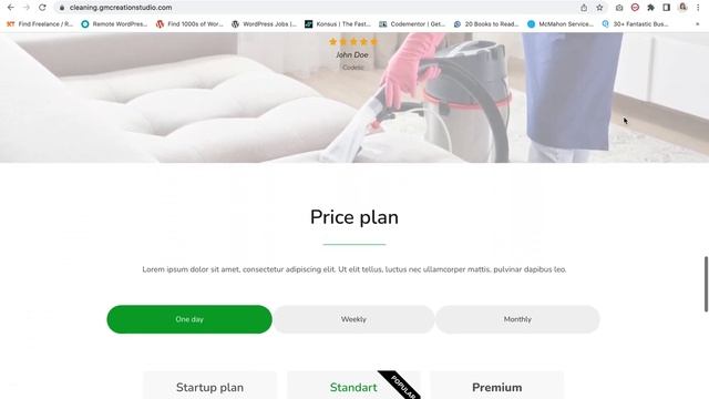 CLEANING BUSINESS website template Wordpress