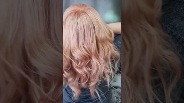 Disco Color Luxor Professional