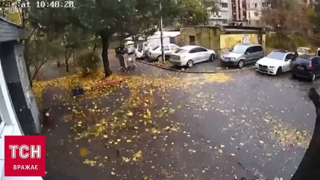 Київ накрив потужний вітер! Дерева падають просто на очах! І не лише дерева!