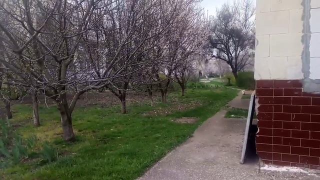 Дом Родной Михайловка Нижнегорский Крым 4 апреля 2023.mp4