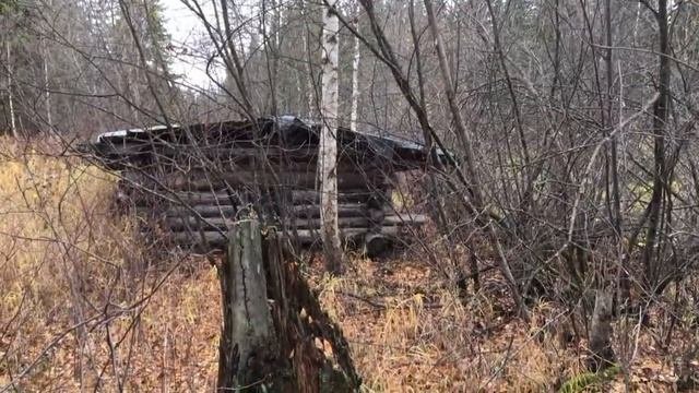 Охота и рыбалка на р.Гуньёган