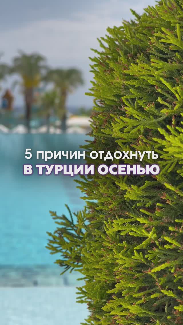 🇹🇷 Продли лето с горящими турами в Турцию!